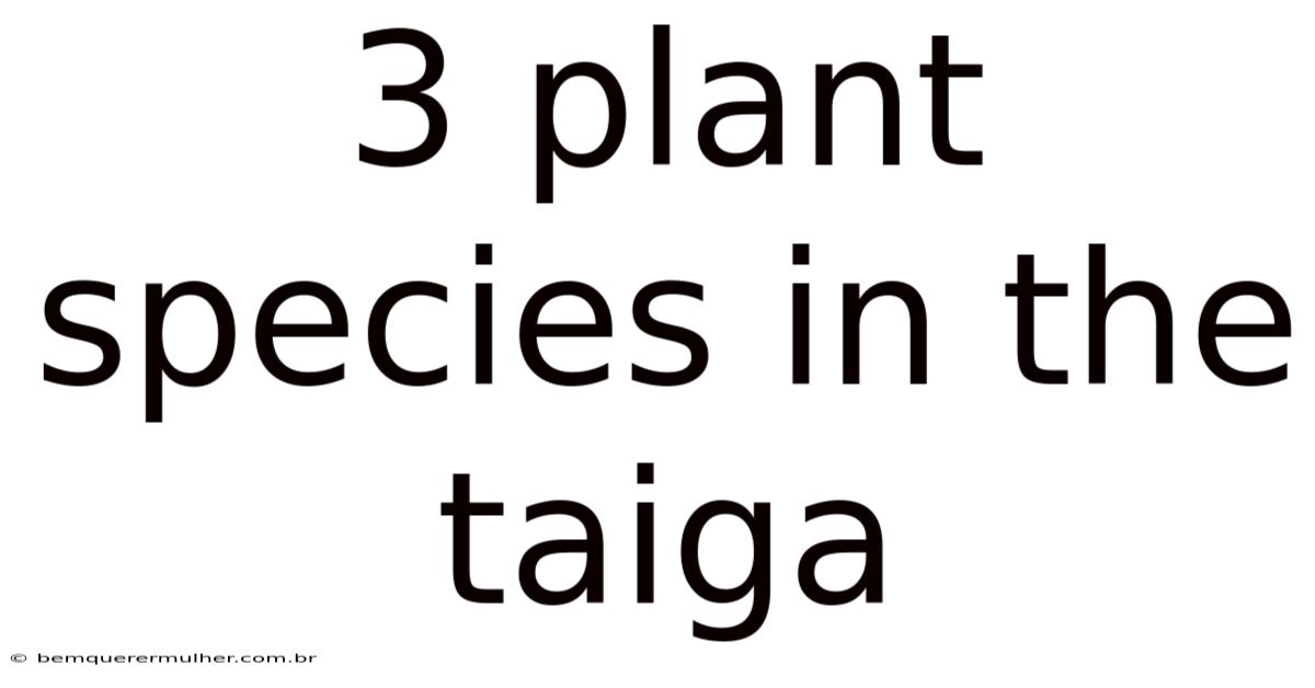 3 Plant Species In The Taiga