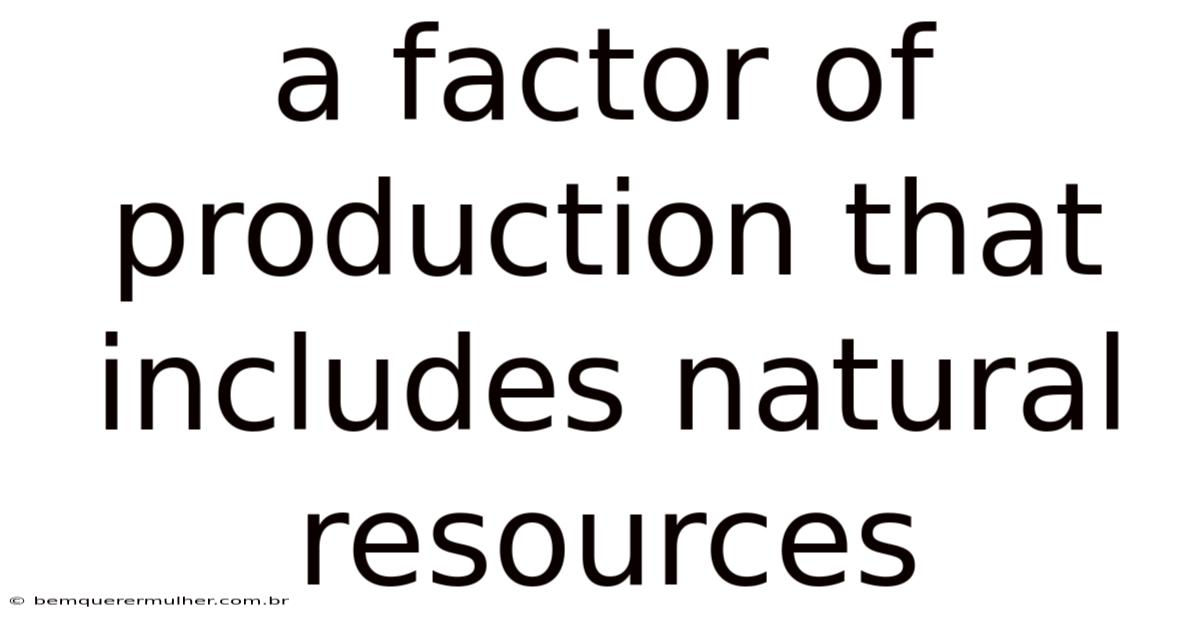 A Factor Of Production That Includes Natural Resources