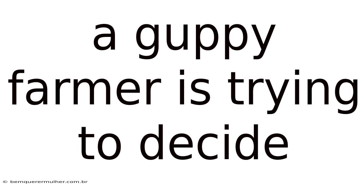 A Guppy Farmer Is Trying To Decide