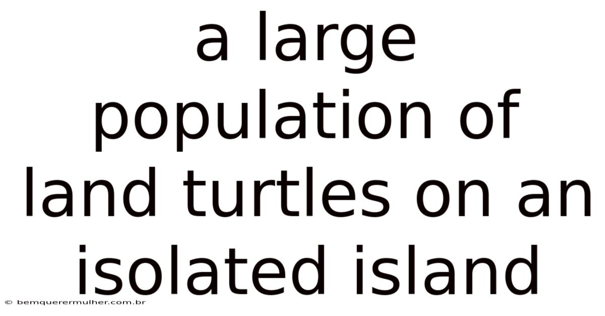 A Large Population Of Land Turtles On An Isolated Island