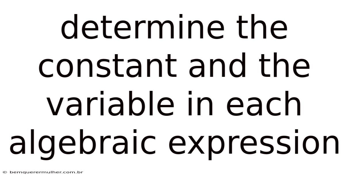 Determine The Constant And The Variable In Each Algebraic Expression