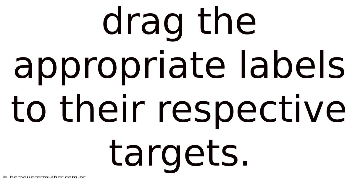 Drag The Appropriate Labels To Their Respective Targets.