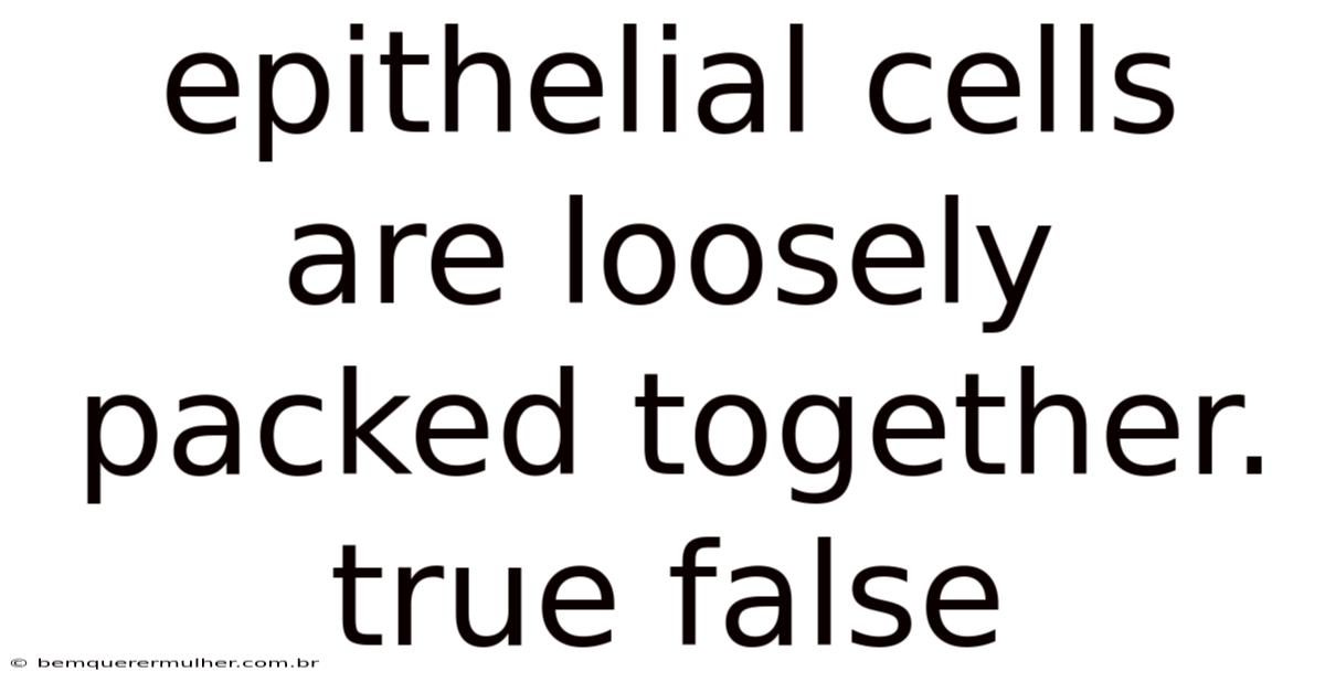 Epithelial Cells Are Loosely Packed Together. True False