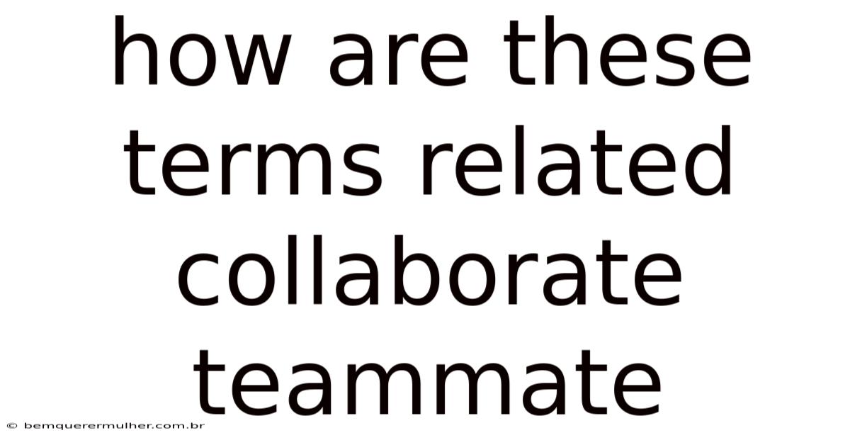 How Are These Terms Related Collaborate Teammate