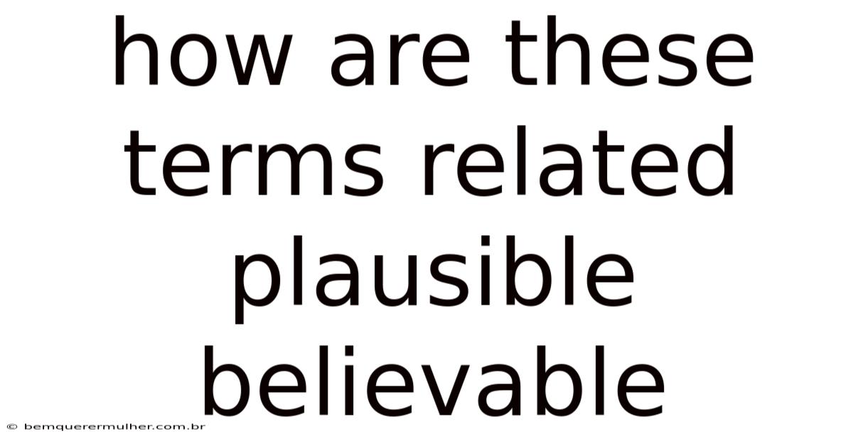 How Are These Terms Related Plausible Believable