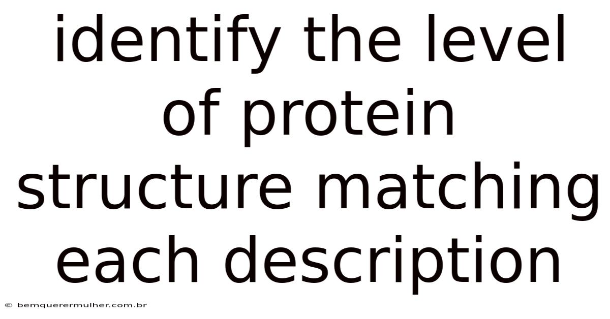 Identify The Level Of Protein Structure Matching Each Description