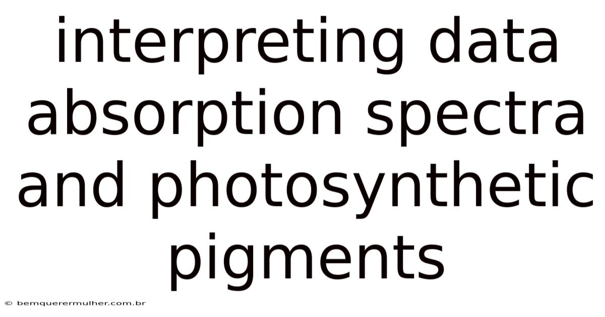 Interpreting Data Absorption Spectra And Photosynthetic Pigments