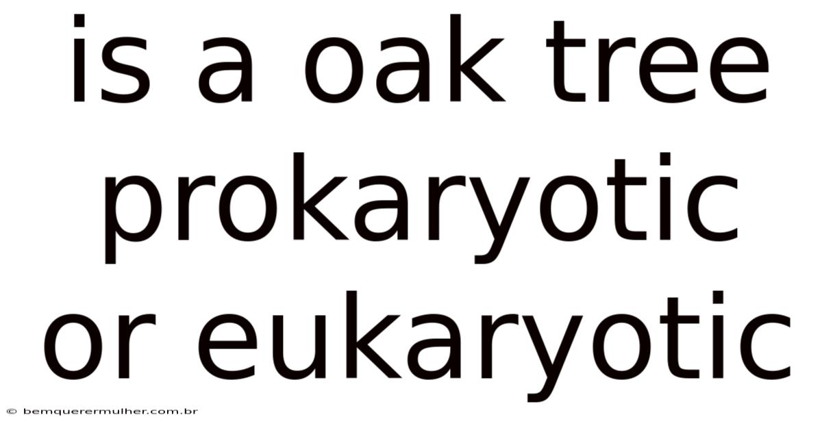 Is A Oak Tree Prokaryotic Or Eukaryotic