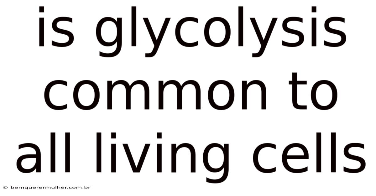 Is Glycolysis Common To All Living Cells