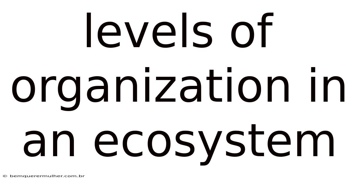 Levels Of Organization In An Ecosystem