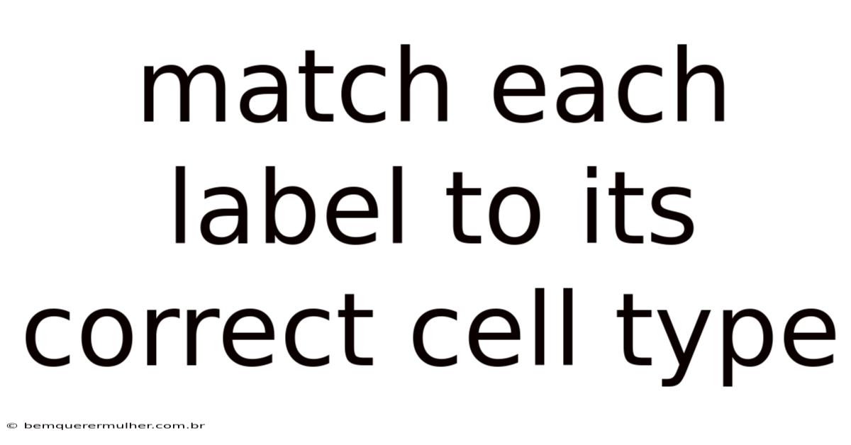 Match Each Label To Its Correct Cell Type
