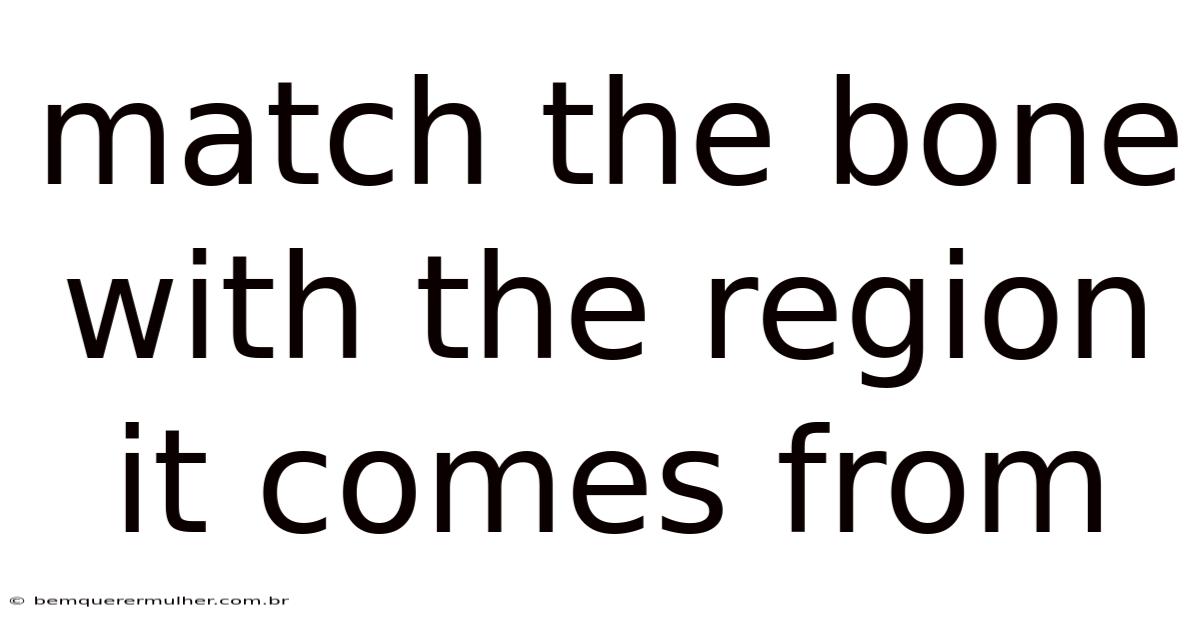 Match The Bone With The Region It Comes From