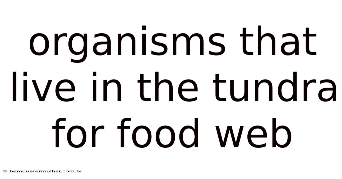 Organisms That Live In The Tundra For Food Web