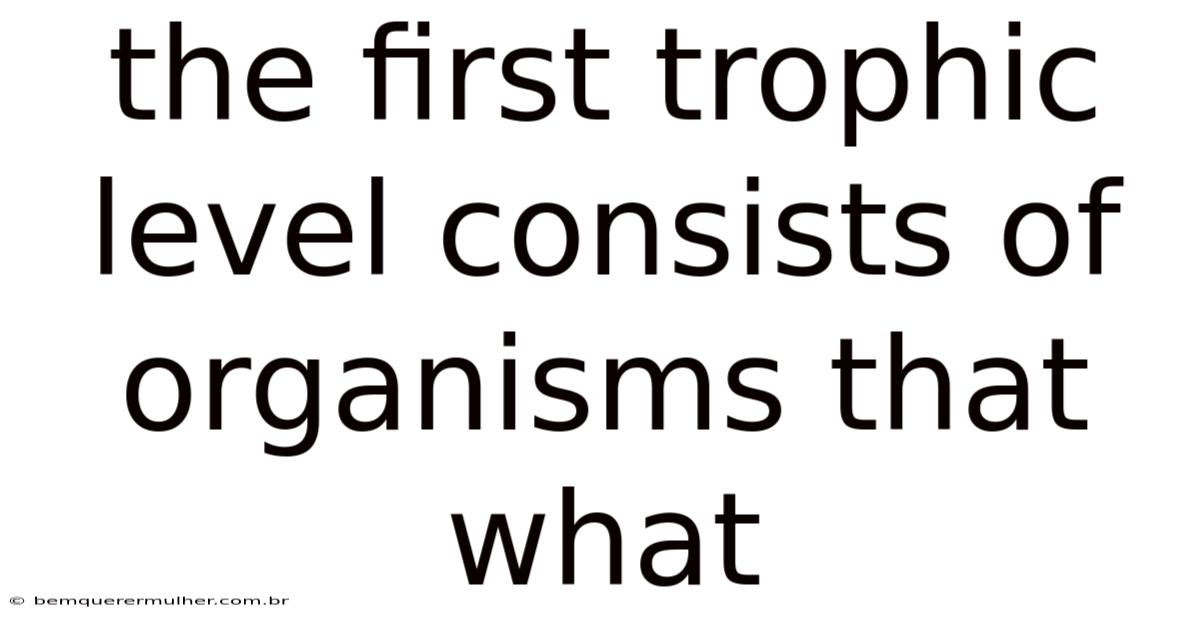 The First Trophic Level Consists Of Organisms That What