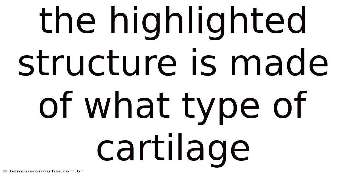 The Highlighted Structure Is Made Of What Type Of Cartilage