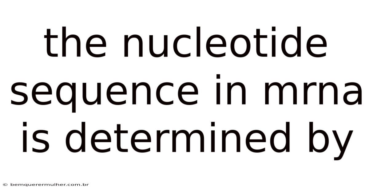 The Nucleotide Sequence In Mrna Is Determined By
