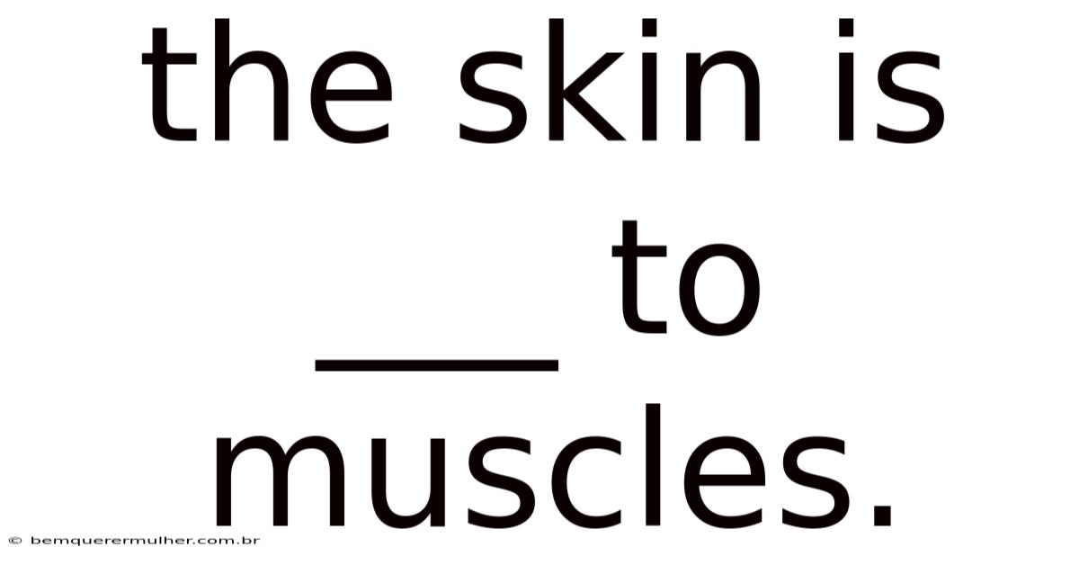 The Skin Is ___ To Muscles.