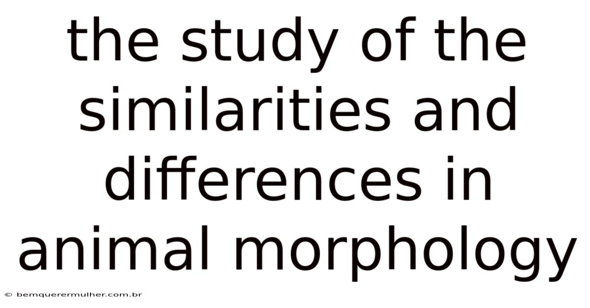 The Study Of The Similarities And Differences In Animal Morphology