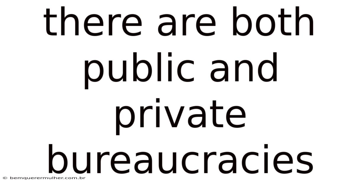 There Are Both Public And Private Bureaucracies