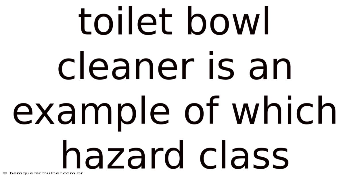 Toilet Bowl Cleaner Is An Example Of Which Hazard Class
