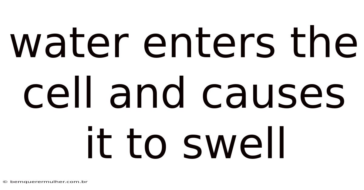 Water Enters The Cell And Causes It To Swell
