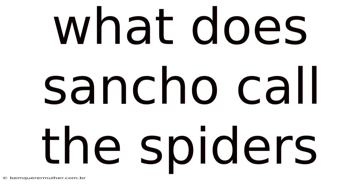 What Does Sancho Call The Spiders