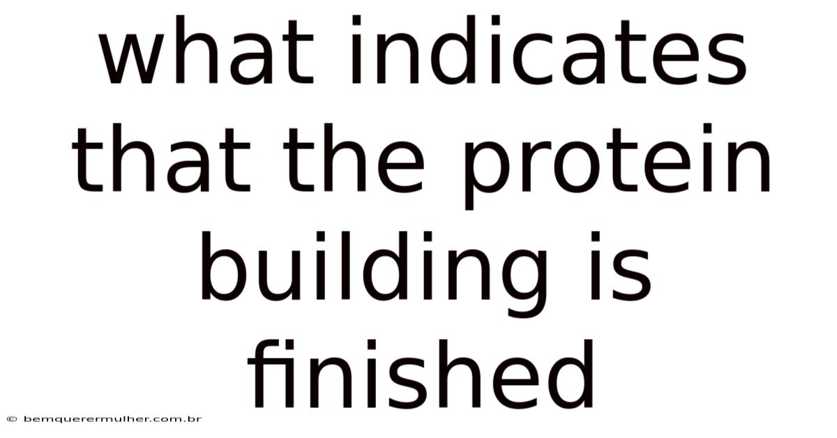 What Indicates That The Protein Building Is Finished