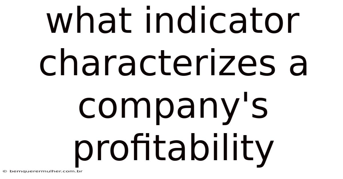 What Indicator Characterizes A Company's Profitability