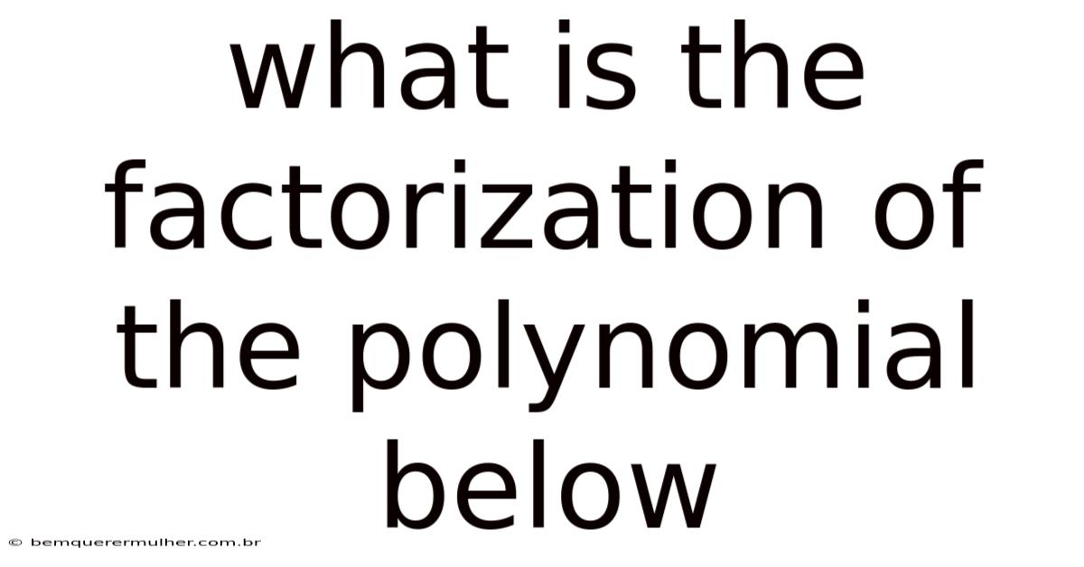 What Is The Factorization Of The Polynomial Below