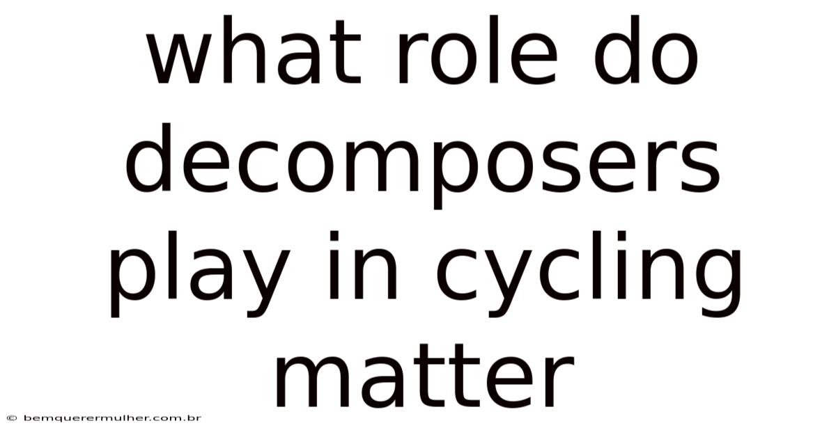 What Role Do Decomposers Play In Cycling Matter