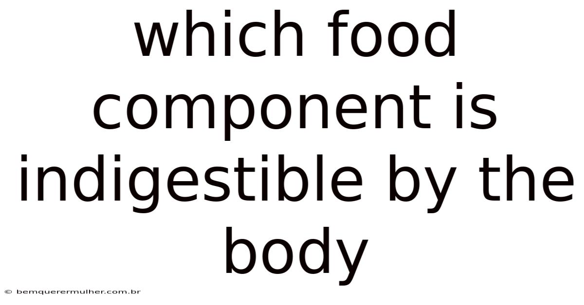 Which Food Component Is Indigestible By The Body