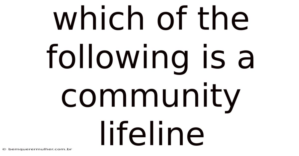 Which Of The Following Is A Community Lifeline