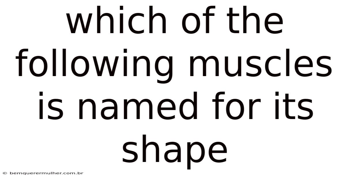Which Of The Following Muscles Is Named For Its Shape
