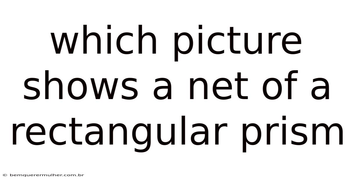 Which Picture Shows A Net Of A Rectangular Prism