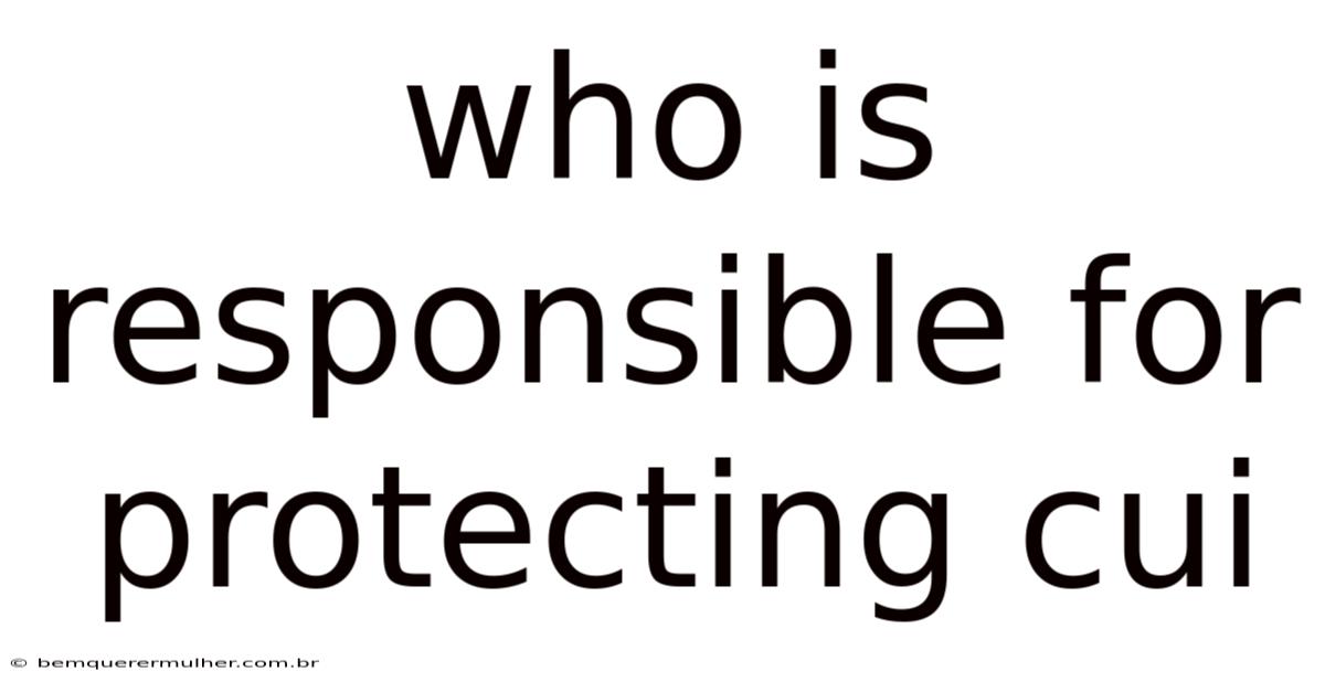 Who Is Responsible For Protecting Cui